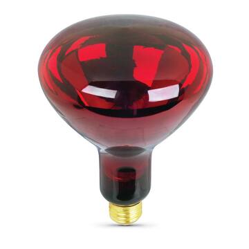 250-Watt Red BR40 Dimmable Incandescent 120-Volt Infrared Heat Lamp Light Bulb (1-Bulb)