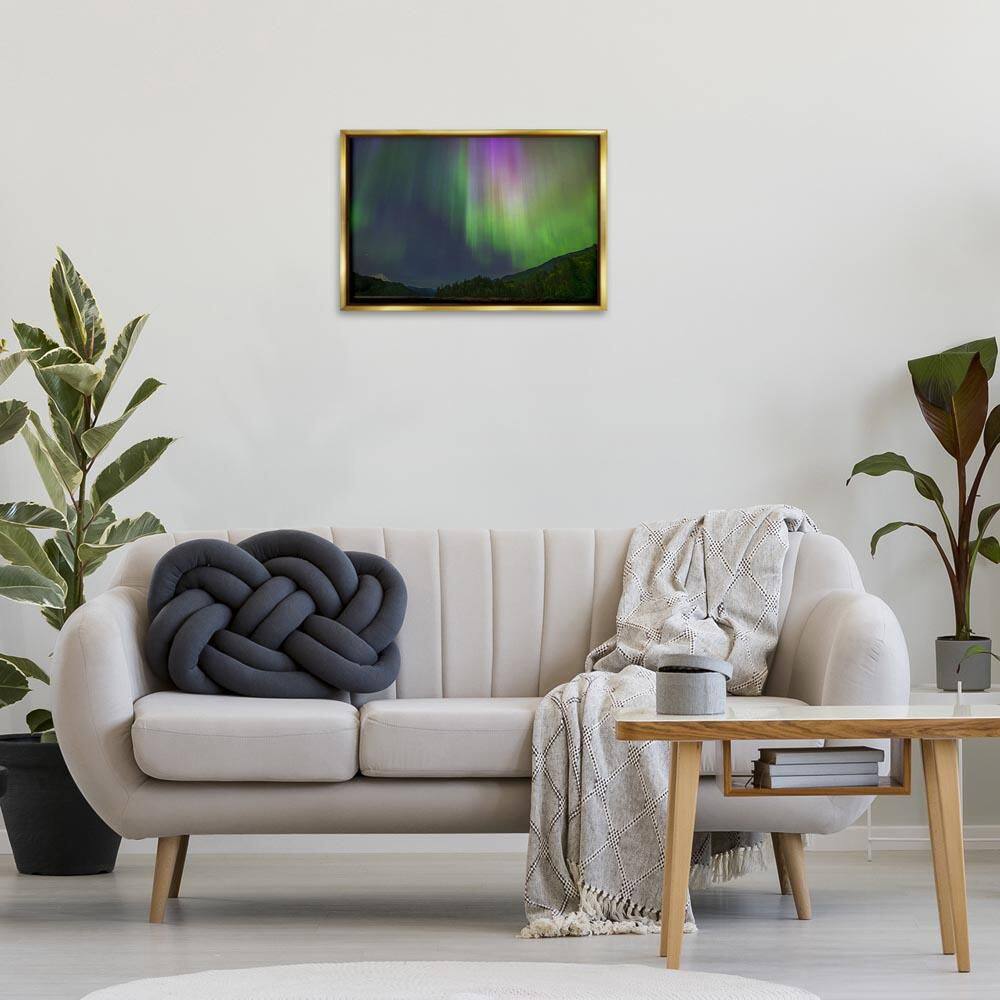 Green Glowing Northern Lights by Nancy Crowell Gold Floater Frame Nature Graphic Art Print 17 in. x 25 in. price history on PriceWatchPro