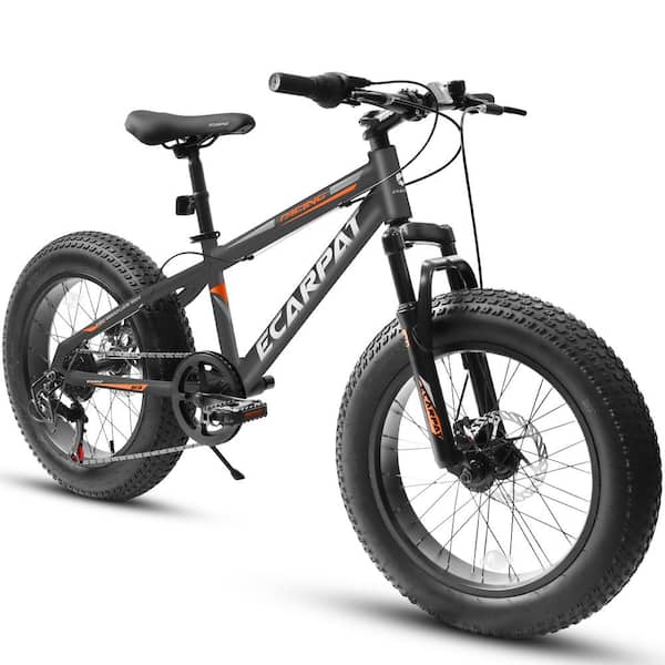 Cesicia 20 in. 7 Speed Mountain Bike in Gray with Fat Tire