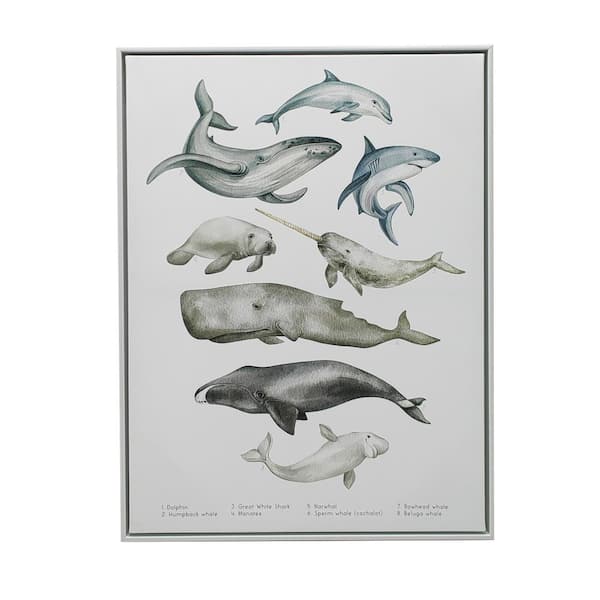 Unbranded Under the Sea Framed Animal Art Print 24 in. x 18 in.