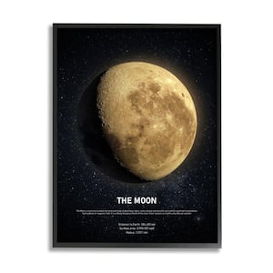 "Earth's Moon Celestial Facts Outer Space Infographic" by Design Fabrikken Framed Astronomy Wall Art Print 16 in x 20 in