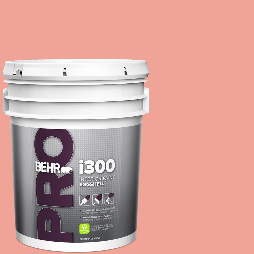 BEHR PRO 5 gal. #170D-4 Peach Tile Eggshell Interior Paint