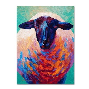 Trademark Fine Art 14 in. x 19 in. Dorset Ewe by Marion Rose Printed  Canvas Wall Art ALI7721-C1419GG - The Home Depot