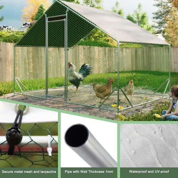 Sturdy and Spacious 10 ft. L x 6.6 ft. W Metal Chicken Coop with