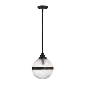 10 in. W x 12.5 in. H 1-Light Matte Black Mini Pendant Light with Clear Glass Shade
