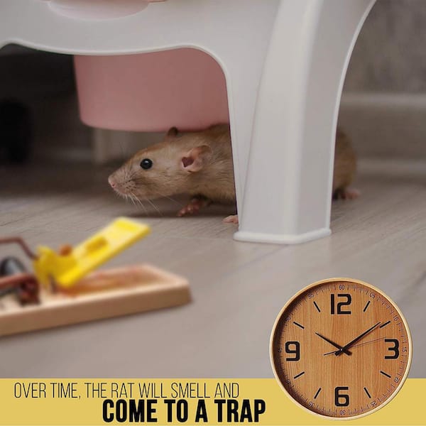 New d-CON No View Covered Mouse Trap, 2 Pack - Size 2.0 Traps Unit