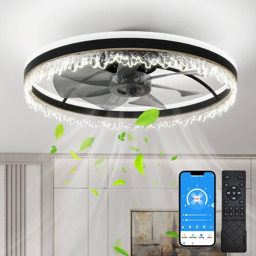 24 in. Smart Flush Mount Ceiling Fan with Light,APP & Remote Control & Timer,Invisible Blades,Crystal-Edge Design price history on PriceWatchPro