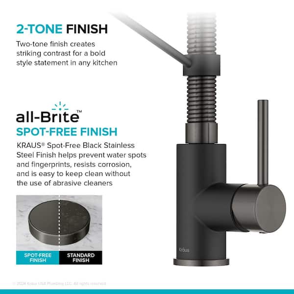 Esina Single-Handle Pull-Down Sprayer Kitchen Faucet with Dual Function Sprayhead in All-Brite Spot Free Stainless Steel Esina Single-Handle Pull-Down Sprayer Kitchen Faucet with Dual Function Sprayhead in All-Brite Spot Free Stainless Steel