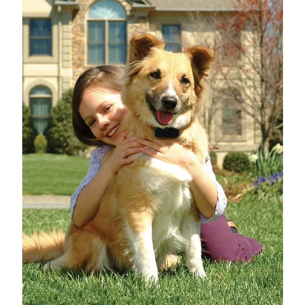 Add-A-Dog® collars and replacement parts for PetSafe® fences