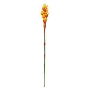 31 in. Real Touch Orange Artificial Ginger Flower Stem Tropical Spray (Set of 3)