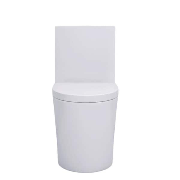 Elongated 1-Piece Toilet, dual flush, 28 in. Toilet in Almond Seat Included, white