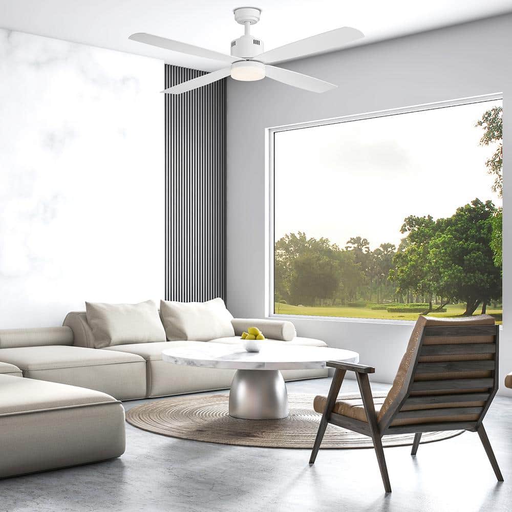 home-decorators-collection-