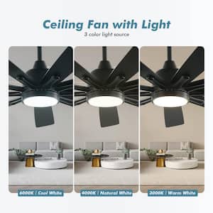 62 in. Integrated LED Indoor & Outdoor 9-Blade Black Ceiling Fan w/Remote Control, 6 Speed, Silent Reversible DC Motor