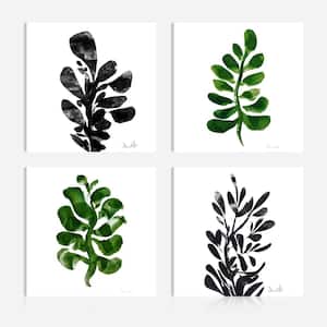 Botanical Plant Prints16 in. x 16 in. Giclee Print Canvas Wall Art (Set of 4)