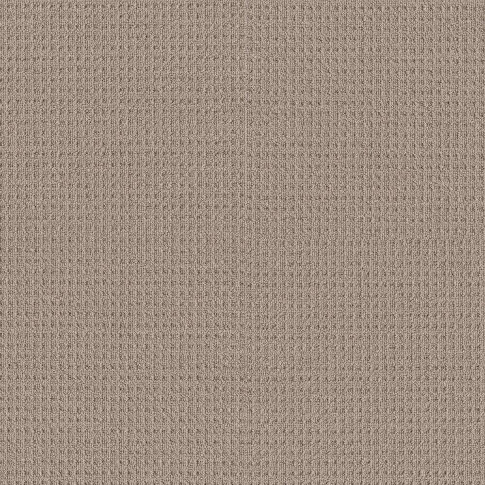 8 in. x 8 in. Loop Carpet Sample - Snug and Stylish - Color Soft Suede price history on PriceWatchPro
