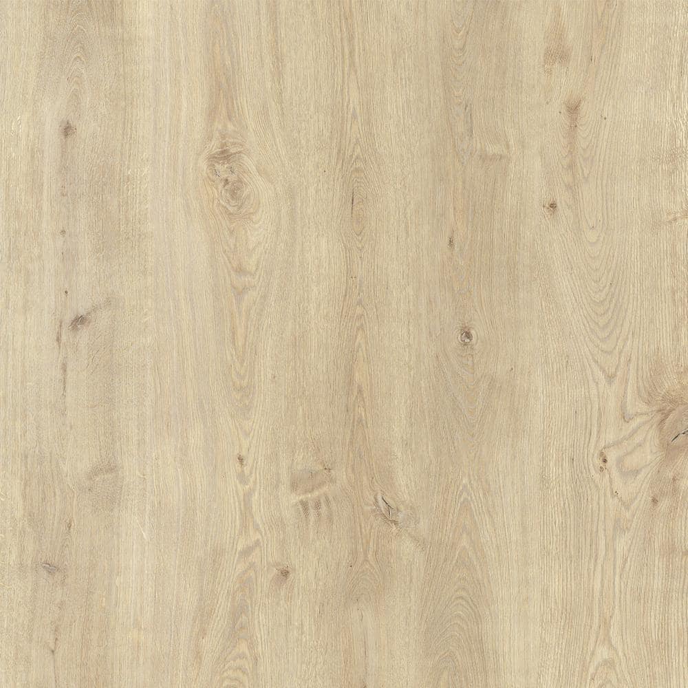 Take Home Sample - MaxCore Sandy Oak 7.31 in. W x 12 in. L Click Lock Waterproof Luxury Vinyl Plank Flooring price history on PriceWatchPro