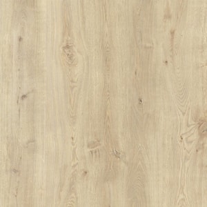 Take Home Sample - MaxCore Sandy Oak 7.31 in. W x 12 in. L Click Lock Waterproof Luxury Vinyl Plank Flooring