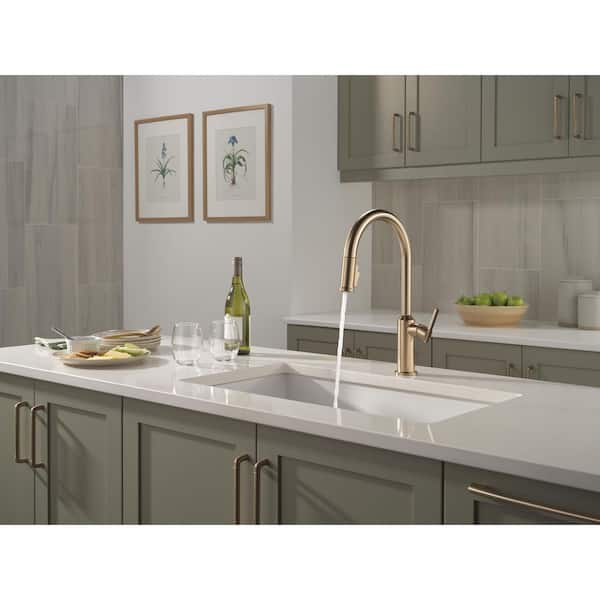 Delta Cordova Gold Champagne Bronze 17.13 in. H Pull Down Sprayer
