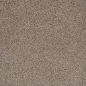 First Class I - Newbury - Beige 32 oz. SD Polyester Texture Installed Carpet