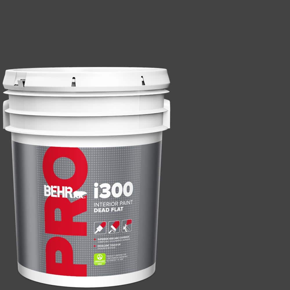 5 gal. #S-H-790 Black Suede Dead Flat Interior Paint price history on PriceWatchPro