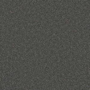 Misty Meadows III- Afton Gray - 75 oz. SD Polyester Texture Installed Carpet