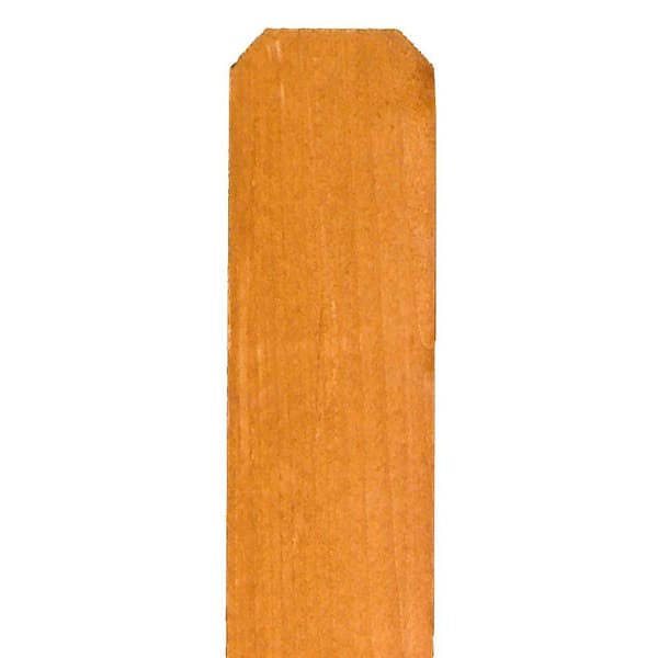 Alta Forest Products 5/8 in. x 3-1/2 in. x 6 ft. Cedar Tone Stained Whitewood Dog-Ear Fence Picket