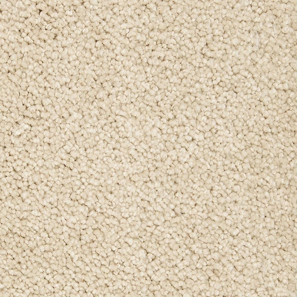 Lifeproof 8 in. x 8 in. Texture Carpet Sample - Castle I -Color Crescent