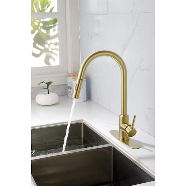 Tahanbath Single Handle Pull Down Sprayer Kitchen Faucet in