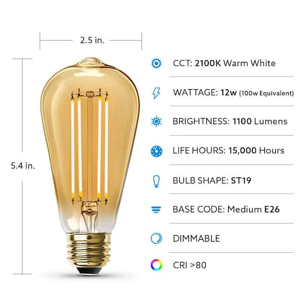 Progress Lighting 40-Watt ST64 Edison E26 Medium Base Vintage Amber Incandescent Light Bulb Warm White Progress Lighting 40-Watt ST64 Edison E26 Medium Base Vintage Amber Incandescent Light Bulb Warm White