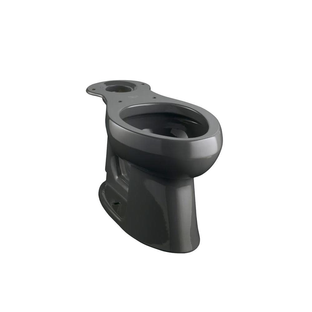 KOHLER Black Black Rough-In WaterSense Elongated Toilet at