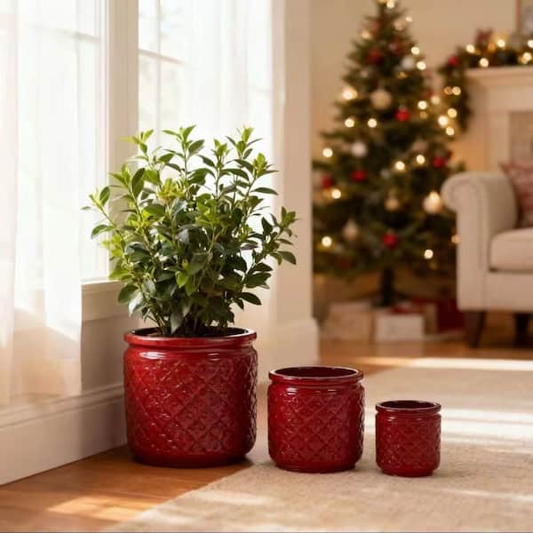 GOGEXX Set of 3 13 in. Flared Bean Paste Red Ceramic Flower Pot