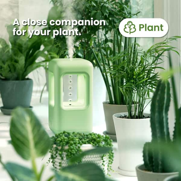 BeamBox 0.16 Gal. Cool Mist Plastic Humidifier for Small Rooms and Indoor  Plants in Green XM806-1