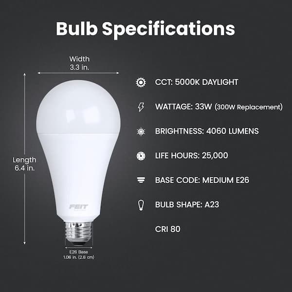 300-Watt Equivalent A23 Non-Dimmable High Brightness Frosted E26 Medium Base LED Light Bulb Daylight 5000K (12-Pack)