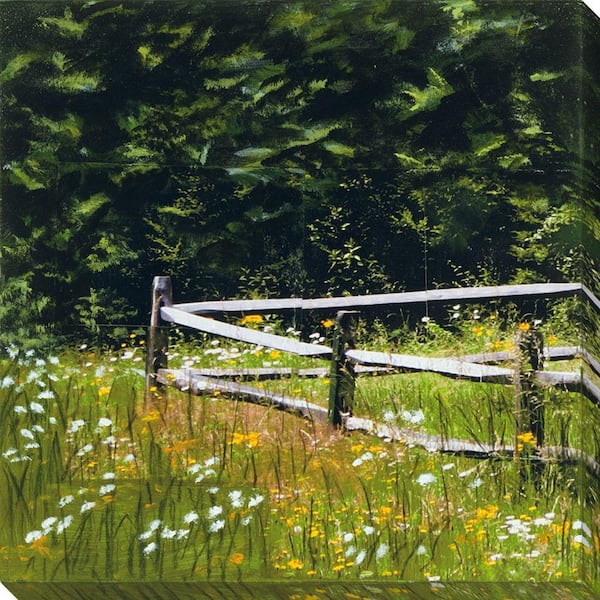 NEP Art 40 in. x 40 in. Fence Series VI Oversized Canvas Gallery Wrap