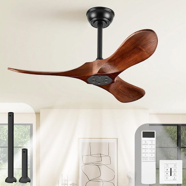 36 in. Modern Small Downrod Mount Ceiling Fan, 3 Walnut Blades, Remote Control & Wall Switch, 6-Speed, Without Light