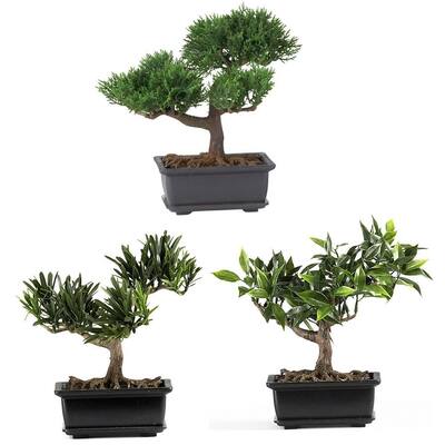 8-1/2 in. Bonsai Silk Plant Collection (Set of 3)