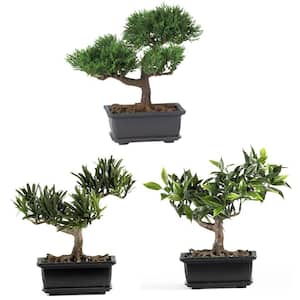 8-1/2 in. Artificial Bonsai Silk Plant Collection (Set of 3)