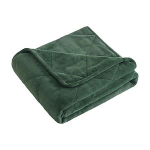 Green Solid Velvet 72 in. x 48 in. 12 lbs. Weighted Blanket