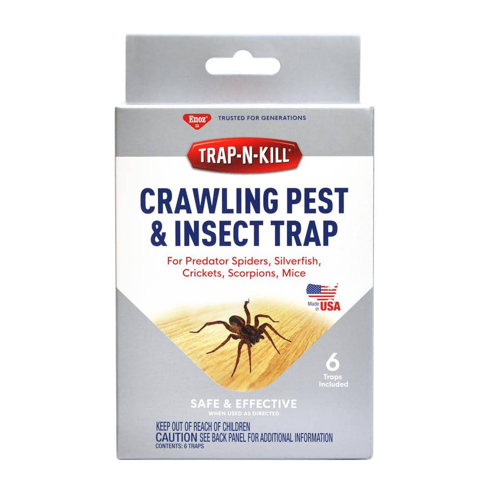 Spider Traps for Inside Your Home (16 Traps) - Spider Catcher Insect Traps  Indoor - Spider Traps Indoor Bug Traps Sticky Traps for Spiders - Pre  Baited Ultra St… in 2023
