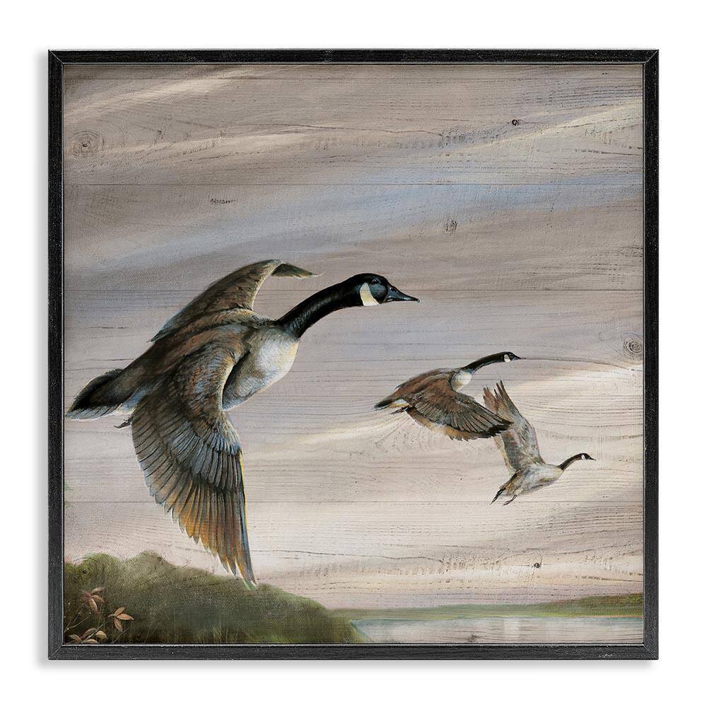 Flying Geese over Rustic by Ruane Manning Black Framed Animal Giclee Art Print 17 in. x 17 in. price history on PriceWatchPro