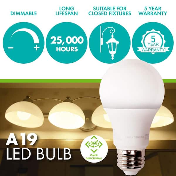 100-Watt Equivalent A19 Dimmable LED Light Bulb, 5000K Daylight, 12-pack