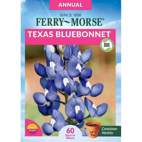 Ferry-Morse Texas Bluebonnet Flower Seed