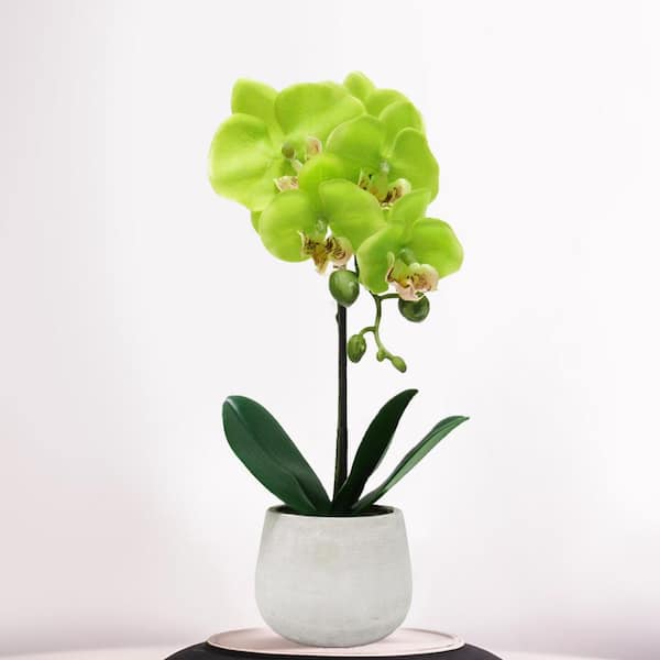 LIVING LUXURY 15 in. Artificial Phalaenopsis Orchid Flower Arrangement in Clay Pot