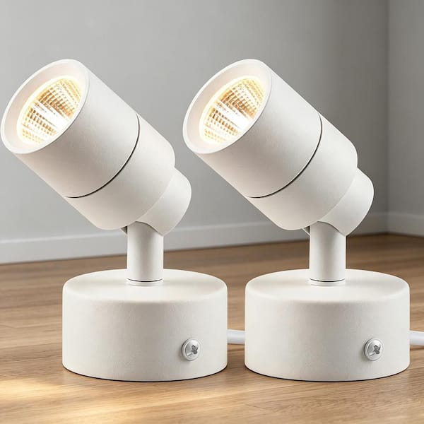 300 Lumen Low Voltage White Plug-In LED Landscape Flood Light with