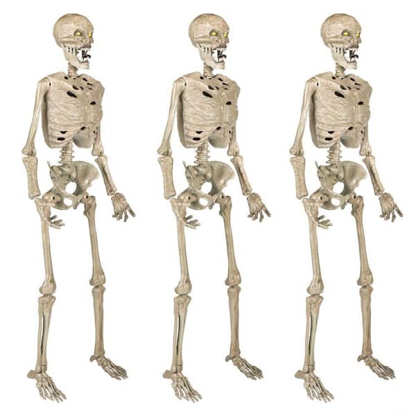 Reviews for Home Accents Holiday 3-Pack 5 ft. Grave & Bones
