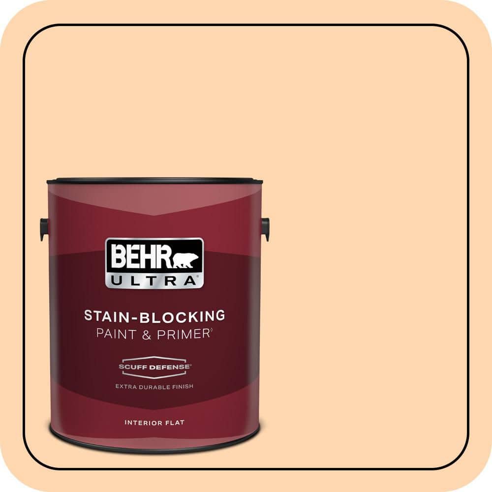 1 gal. #280A-3 Delicious Melon Extra Durable Flat Interior Paint & Primer price history on PriceWatchPro