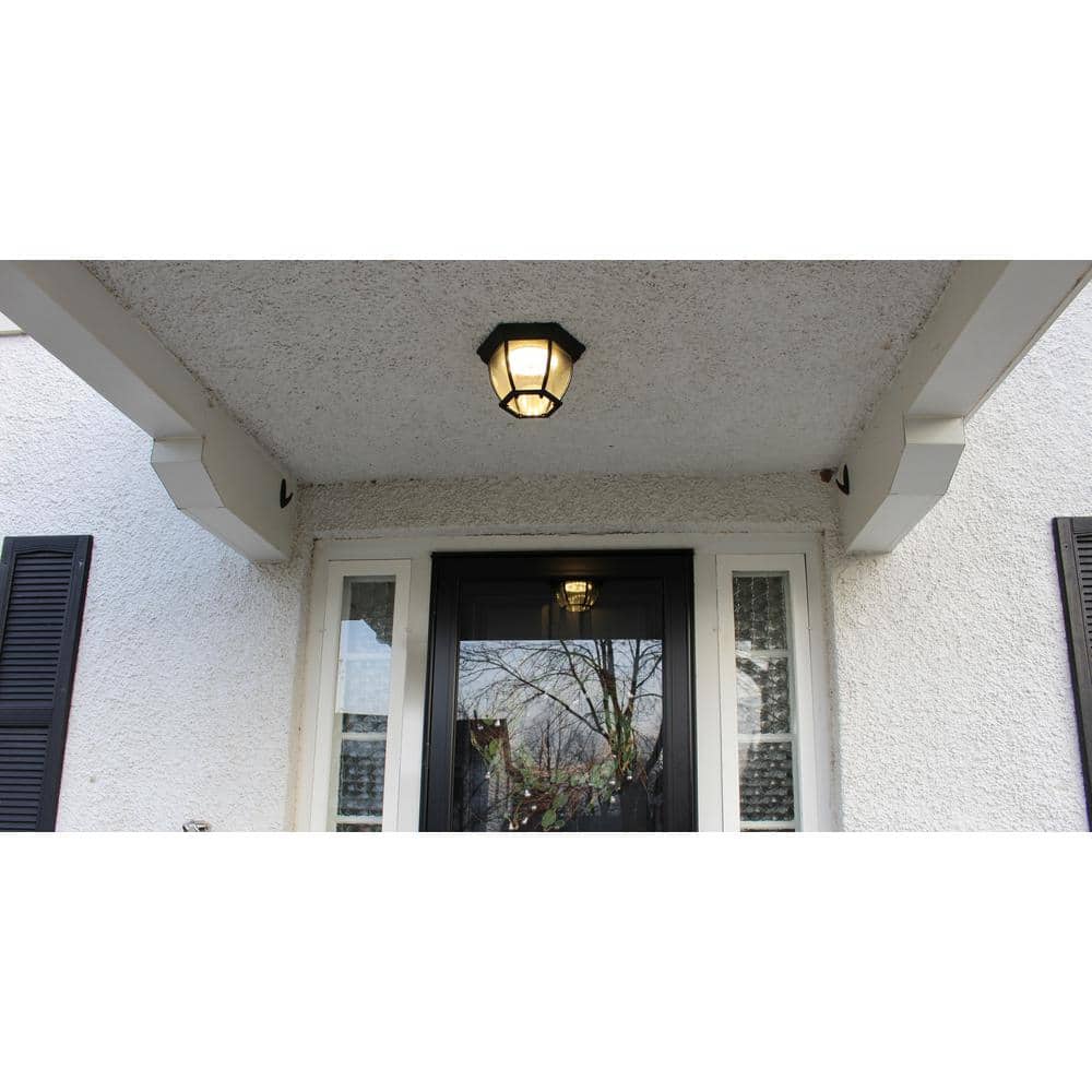 Black Glass LED Indoor/Outdoor Ceiling Light