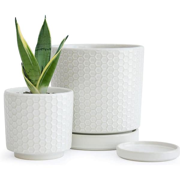ITOPFOX Modern Honeycomb 4 in. L x 4 in. W x 4.2 in. H 2 qts. White Indoor Ceramic Planter 2 (-Pack)