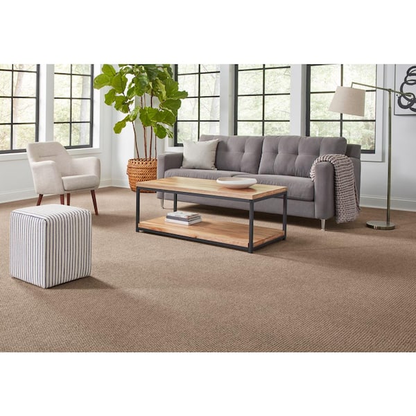 Pretty Penny  - Brindle - Brown 50 oz. Triexta Pattern Installed Carpet