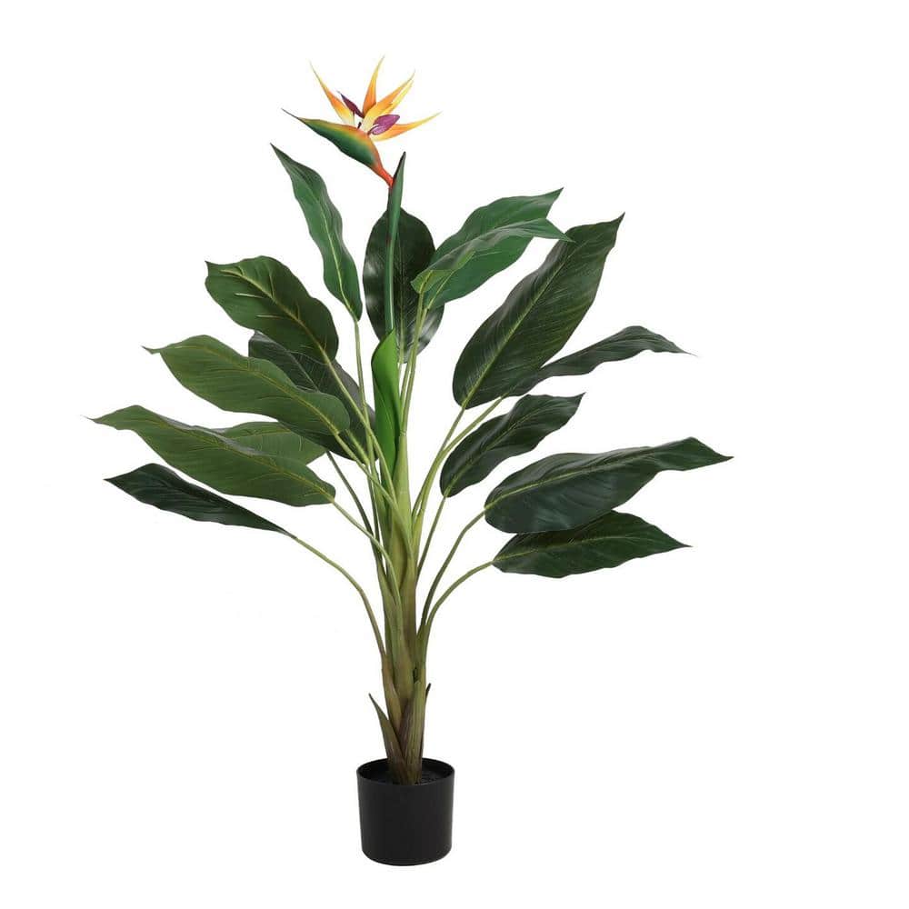 4 ft Green Silk Bird of Paradise Plant in Black Plastic Pot